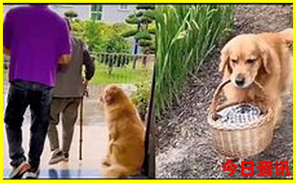 黄果树瀑布景区游玩攻略